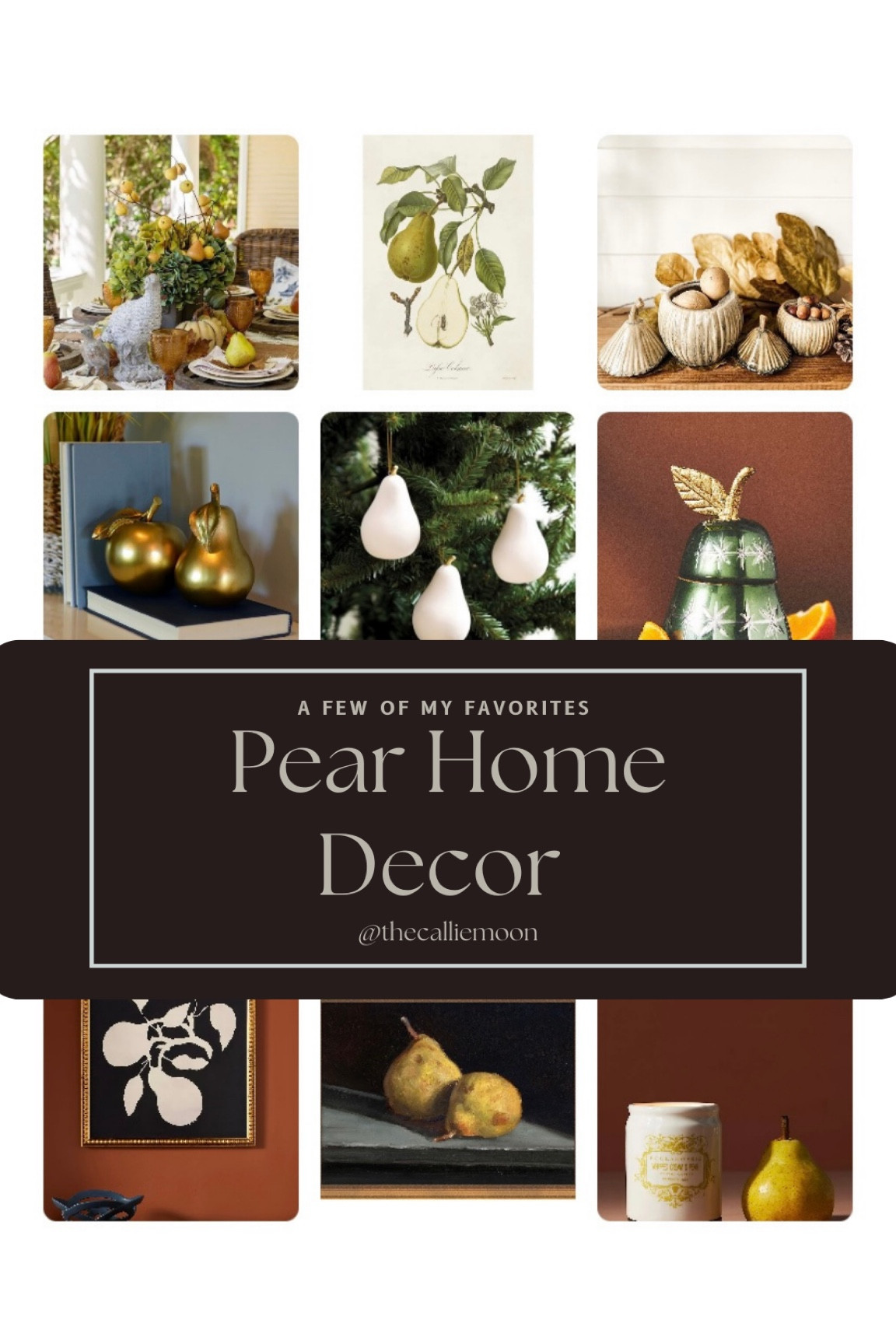 Pear Home Decor | Cozy Fall Decor | Botanical Home Decor

#LTKhome #LTKSeasonal #LTKHoliday