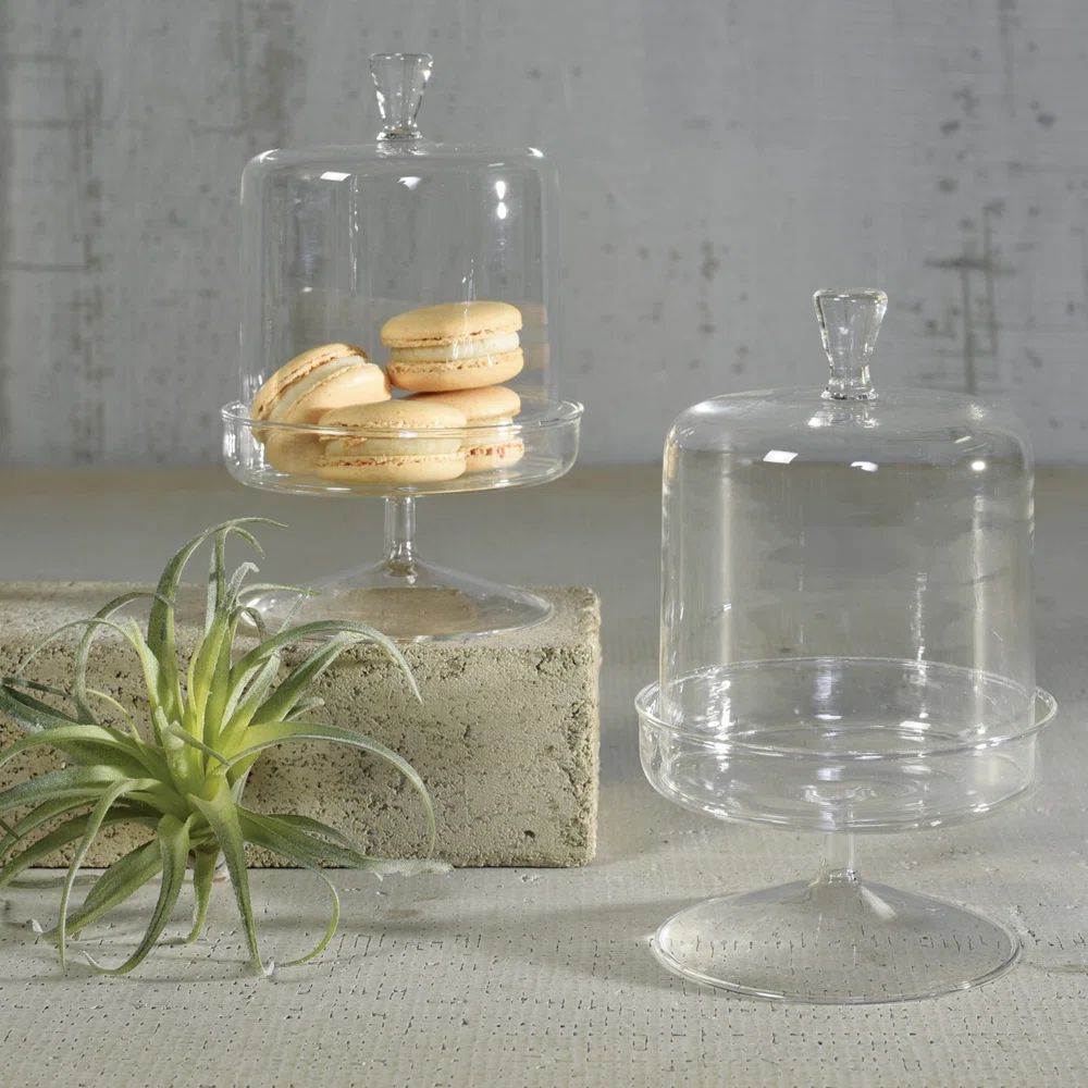 Charlton Home® Glass Dome and Pedestal Kitchen Canister & Reviews | Wayfair | Wayfair North America