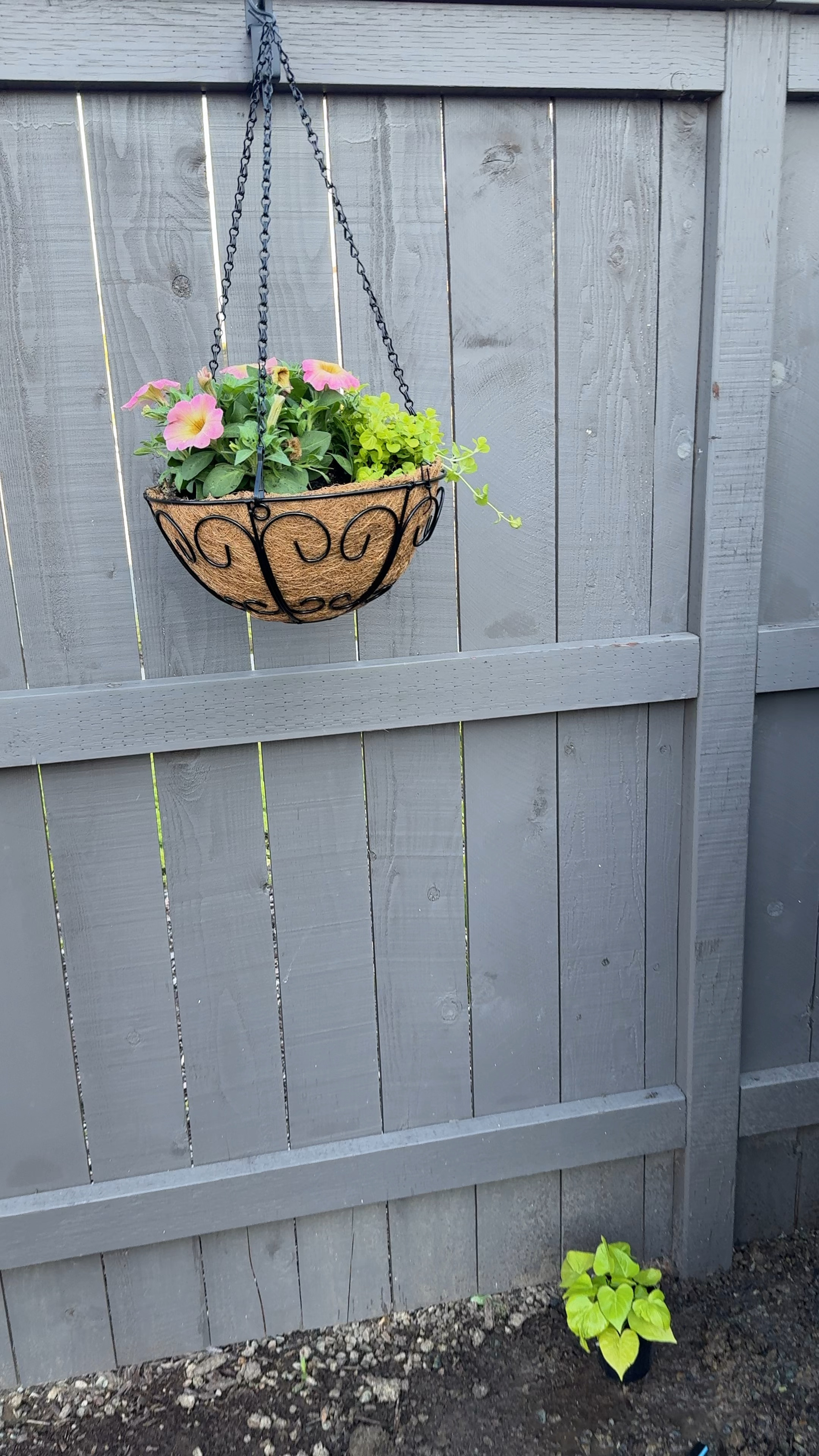 Hanging planters from Amazon and awesome hanging hooks
Amazon home
Backyard plants 

#LTKsalealert #LTKhome #LTKVideo