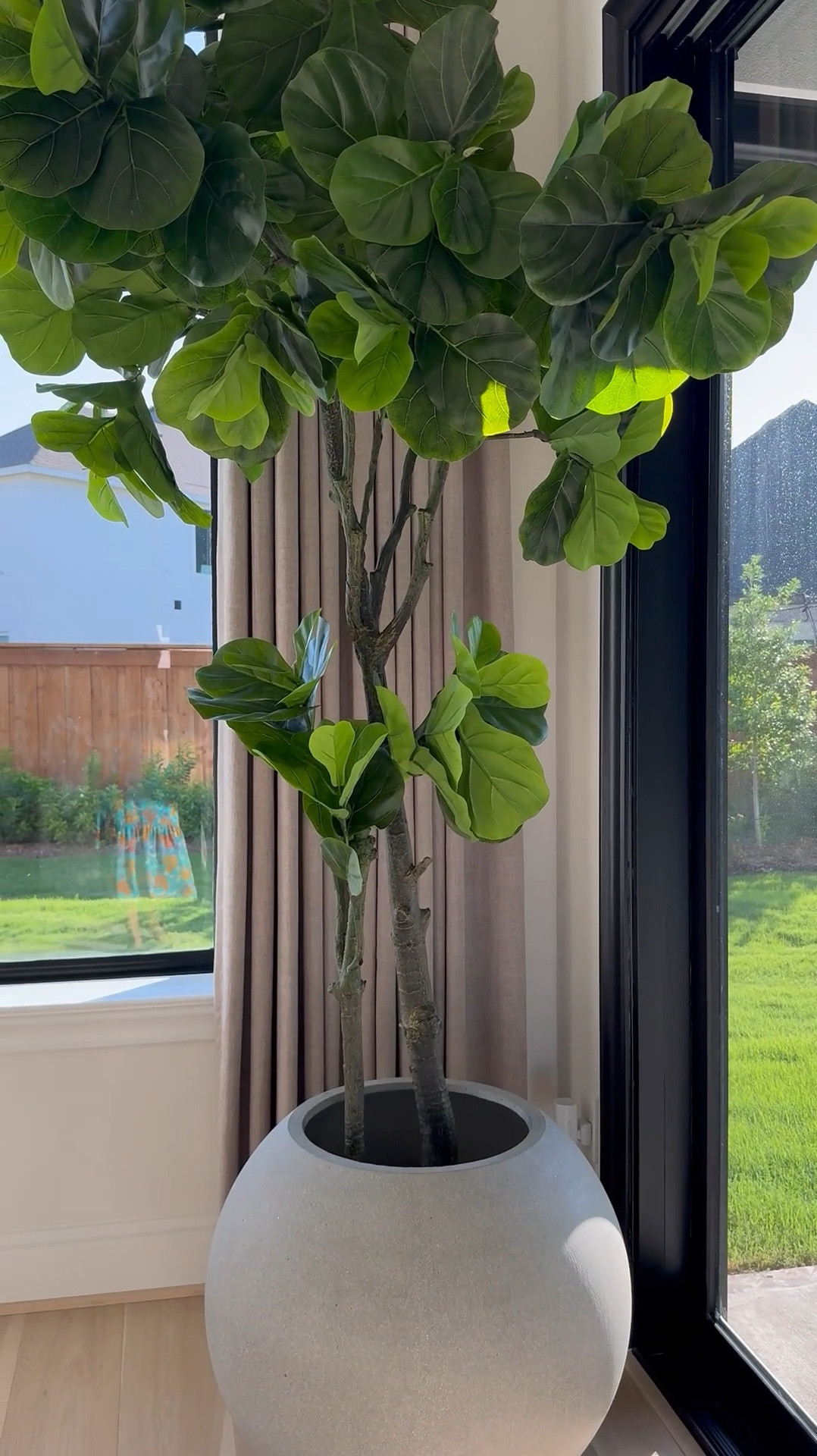 Hey friend! I’ve linked my fiddle tree and planter as well as simple planters! 🤍🫶🏽🤍#LTKVideo

#LTKStyleTip #LTKSaleAlert #LTKHome