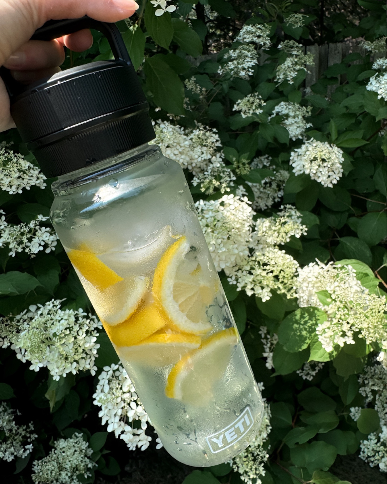 Yeti Yonder water bottle saving my life today in this heat 😮‍💨. It’s also only $28! I feel like that’s not a bad price for the size and quality. #sunmer #summertime #waterbottle #amazon #amazonfinds #yeti #lemon #fruit #healthy

#LTKFindsUnder50 #LTKActive #LTKU