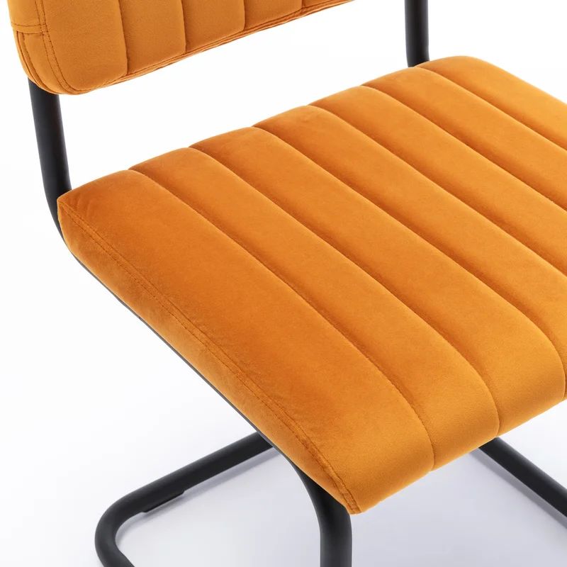 Araiza Velvet Side Chair (Set of 2) | Wayfair North America