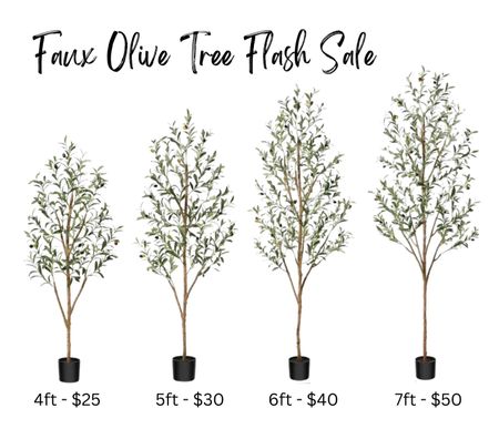 Faux olive tree flash sale!! I just ordered 2 of these trees for the house because the prices are so good! I also linked some tree baskets too.

Walmart home, Walmart finds, faux tree

#LTKsalealert #LTKfindsunder50 #LTKhome