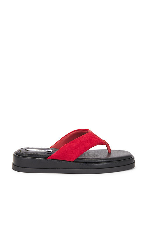 Steve madden sandalia bella en color rojo, negro talla 9.5 | Revolve Clothing (Global)