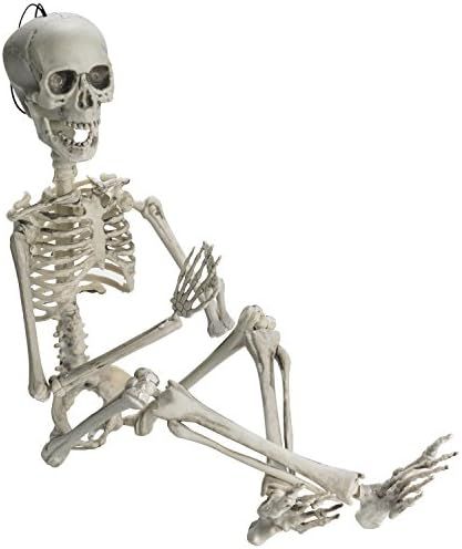 Prextex 19” Posable Halloween Skeleton- Full Body Halloween Skeleton with Movable /Posable Join... | Amazon (US)