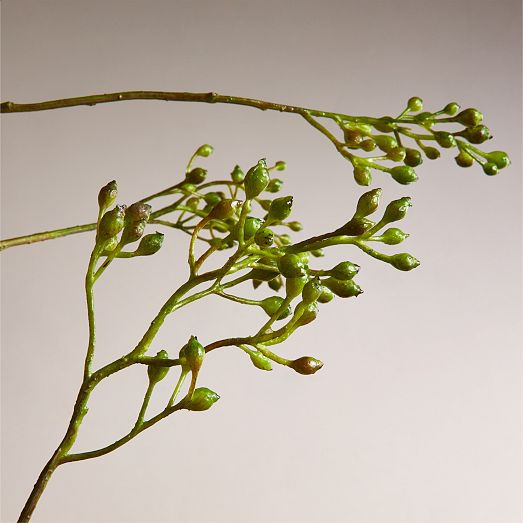 Faux Rosehip Branch | West Elm (US)