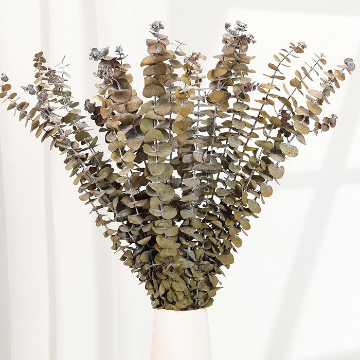16 Pcs Dried Eucalyptus Stems, 17'' Natural Fresh Eucalyptus Leaves Branches Hanging for Shower, ... | Amazon (US)