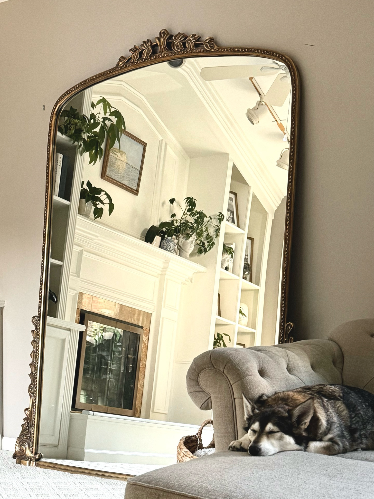 Beautiful Mirrors and Sleepy Dogs 🥰

#LTKStyleTip #LTKHome #LTKFamily