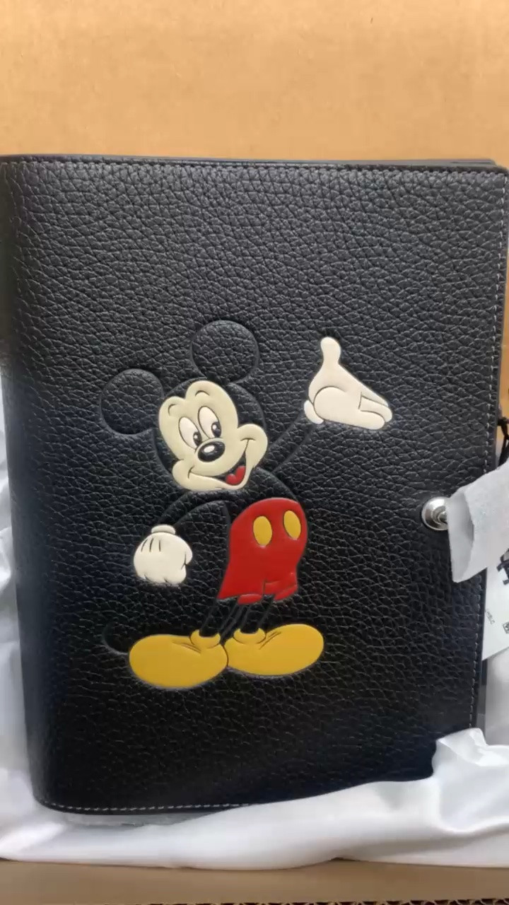 Disney x Coach just won my whole heart and my to-do list.📓🐭

#LTKHome #LTKvlog