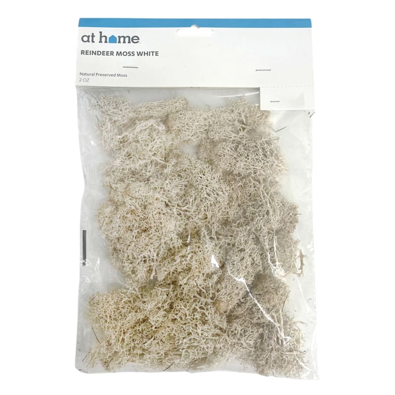White Reindeer Moss, 2oz | At Home