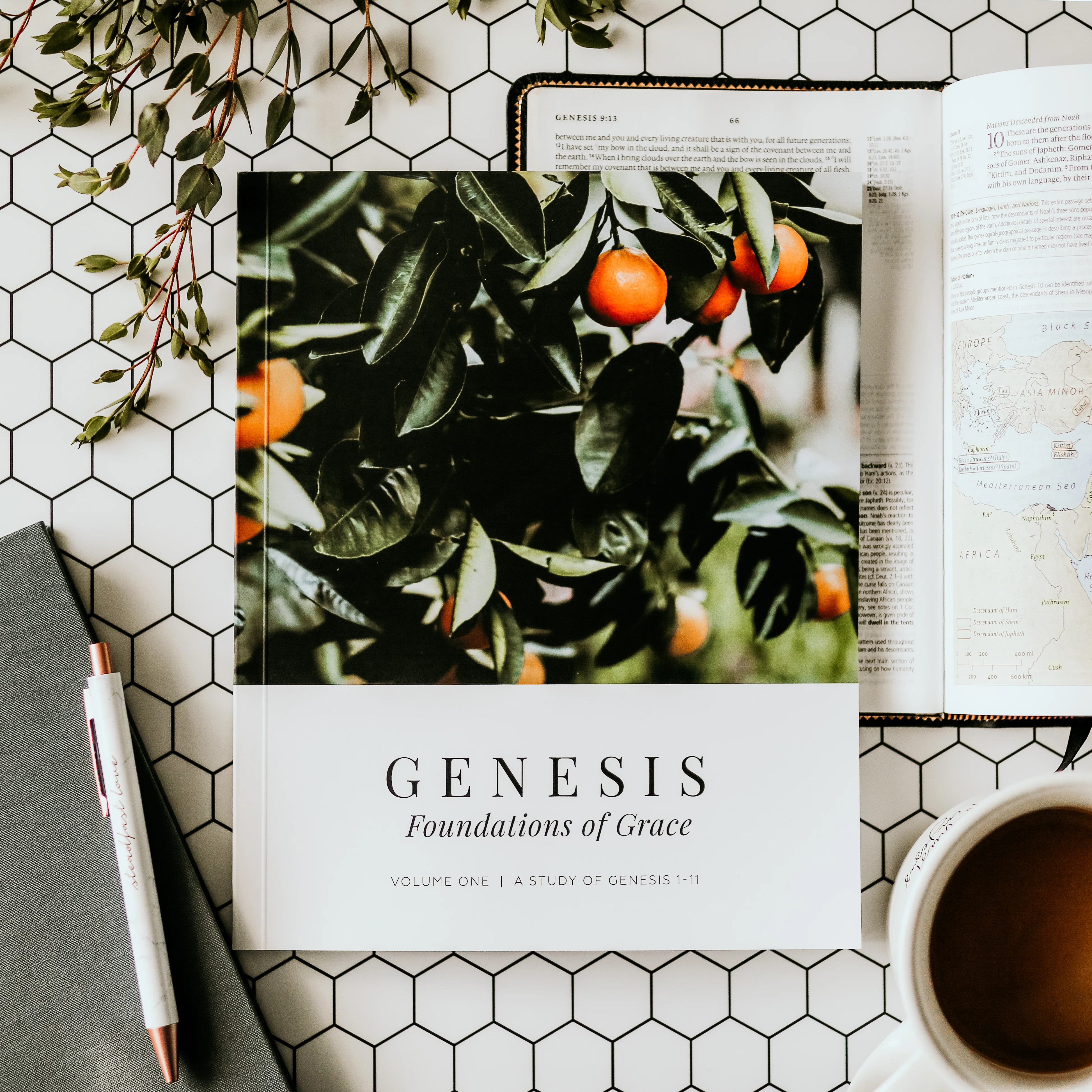 Genesis Vol. 1 | Foundations of Grace | The Daily Grace Co.