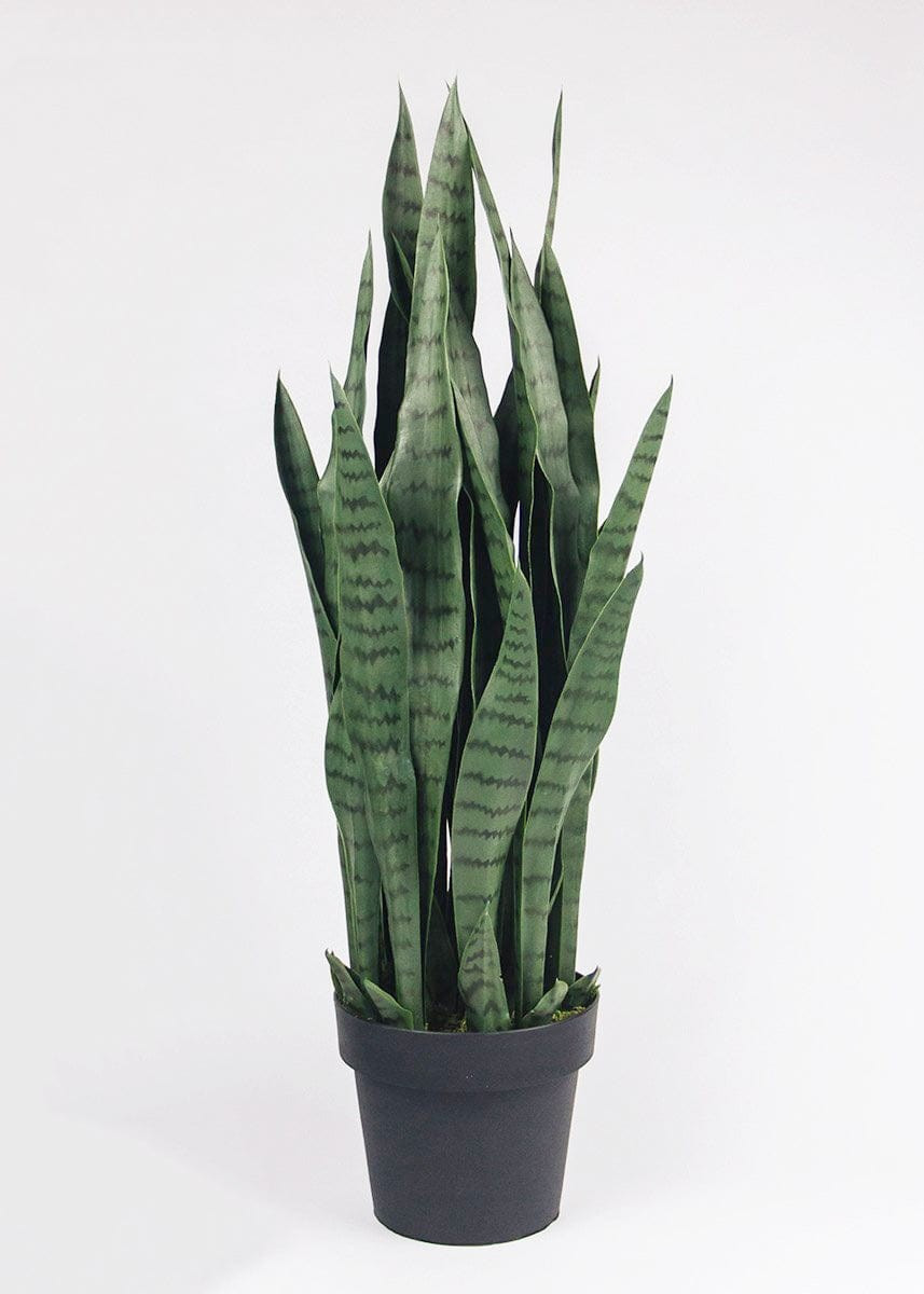 Fake Potted Snake Plant - 35" | Afloral