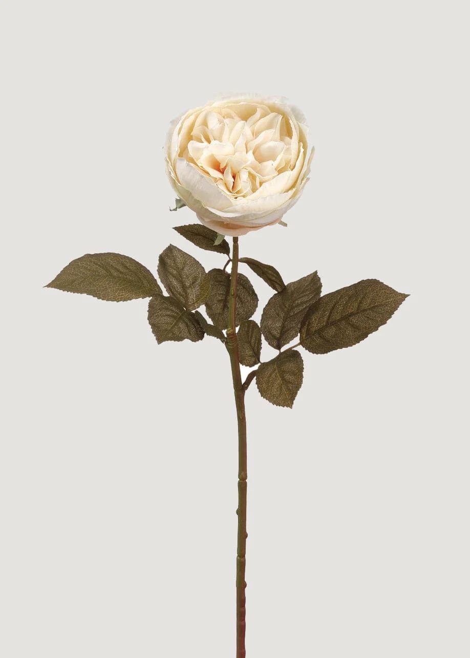 Eggshell Cream Faux English Cabbage Rose - 25" | Afloral