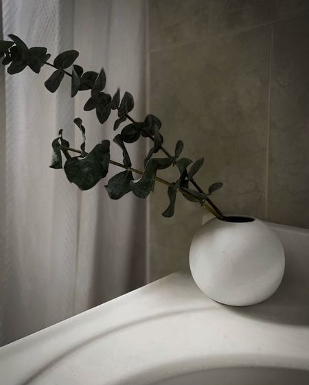 White bud vase in my bathroom  

#LTKfindsunder100 #LTKSale #LTKhome
