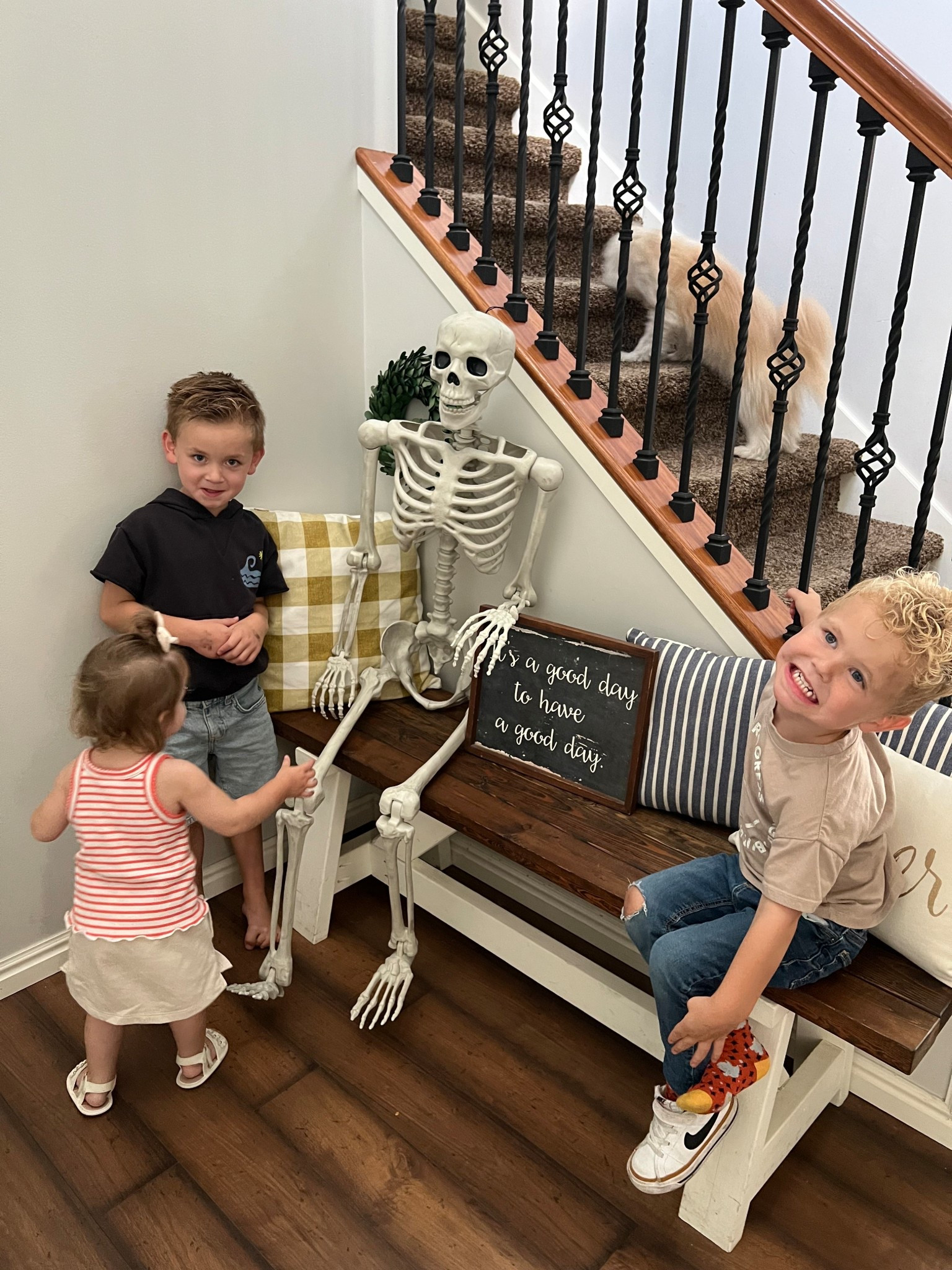 Skeleton decorations. Halloween decor. Decorations. Target sale  

#LTKSeasonal #LTKSaleAlert #LTKHalloween