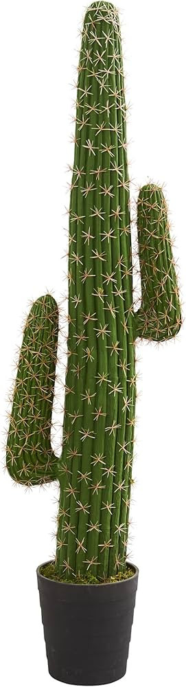 Nearly Natural 4.5’ Cactus Artificial Plant, Green | Amazon (US)