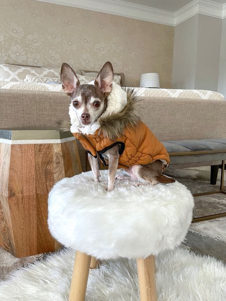 The coziest dog coat!

Dog clothes, dog jacket

#LTKSeasonal #LTKfamily #LTKunder50