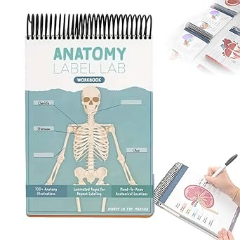 Anatomy Label Lab Workbook, Interactive Human Anatomy Workbook — 100+ Full-Color Dry-Erase Labe... | Amazon (CA)