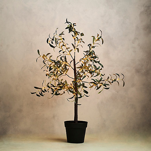 Stargazer Nature Effects LED Faux Olive Tree | Terrain