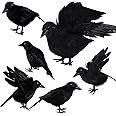 Aneco 6 Pack Realistic Feathered Crows Halloween Fake Crow Black Crows Artificial Crow Halloween ... | Amazon (US)