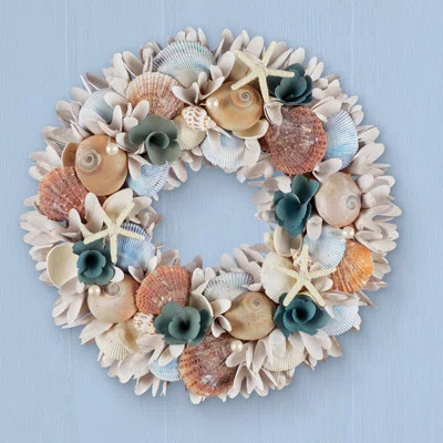 Beautiful Coastal Beach Seashell Hanging Wreath | Wayfair North America