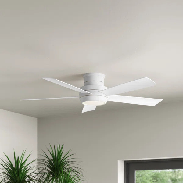 52'' Canup 5 - Blade LED Standard Ceiling Fan with Remote Control and Light Kit Included | Wayfair North America