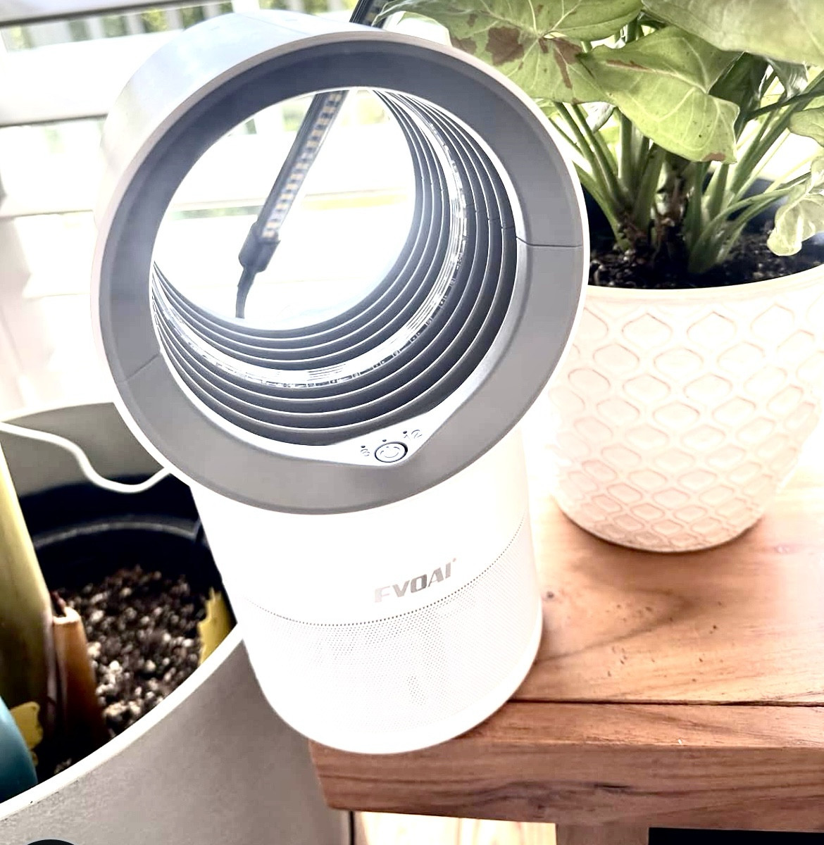 Fruit Fly Trap for the house 👏

#LTKFindsUnder50 #LTKHome #LTKSaleAlert