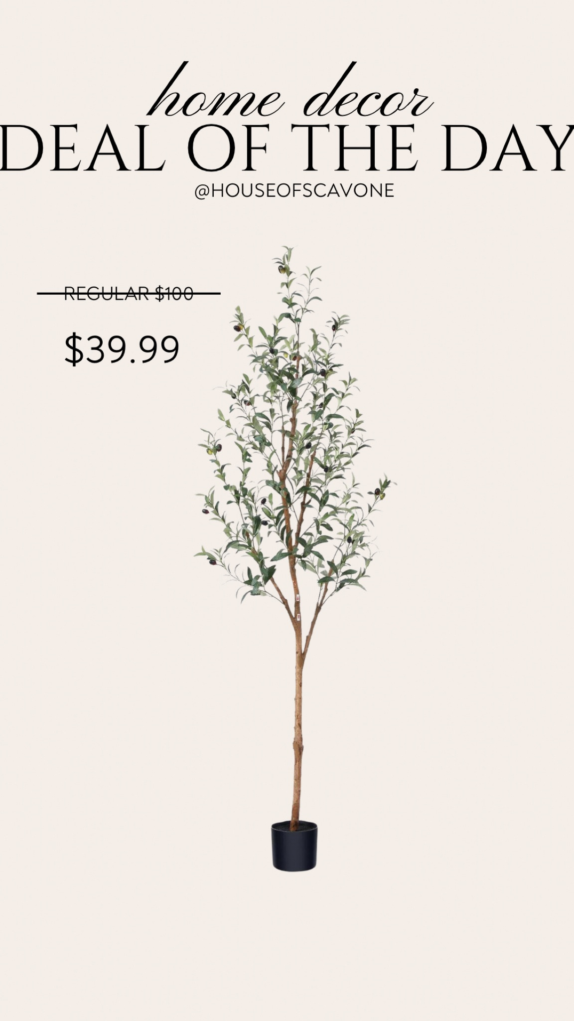 deal of the day 🪴 faux olive tree 6 foot for only $40 *added to cart so fast* #faux #fauxolivetree #olivetree #tree #fauxtree #homedecor #walmart #walmarthome #walmarthomedecor #walmarthomefinds #homefinds 

#LTKHome #LTKSaleAlert #LTKFindsUnder50
