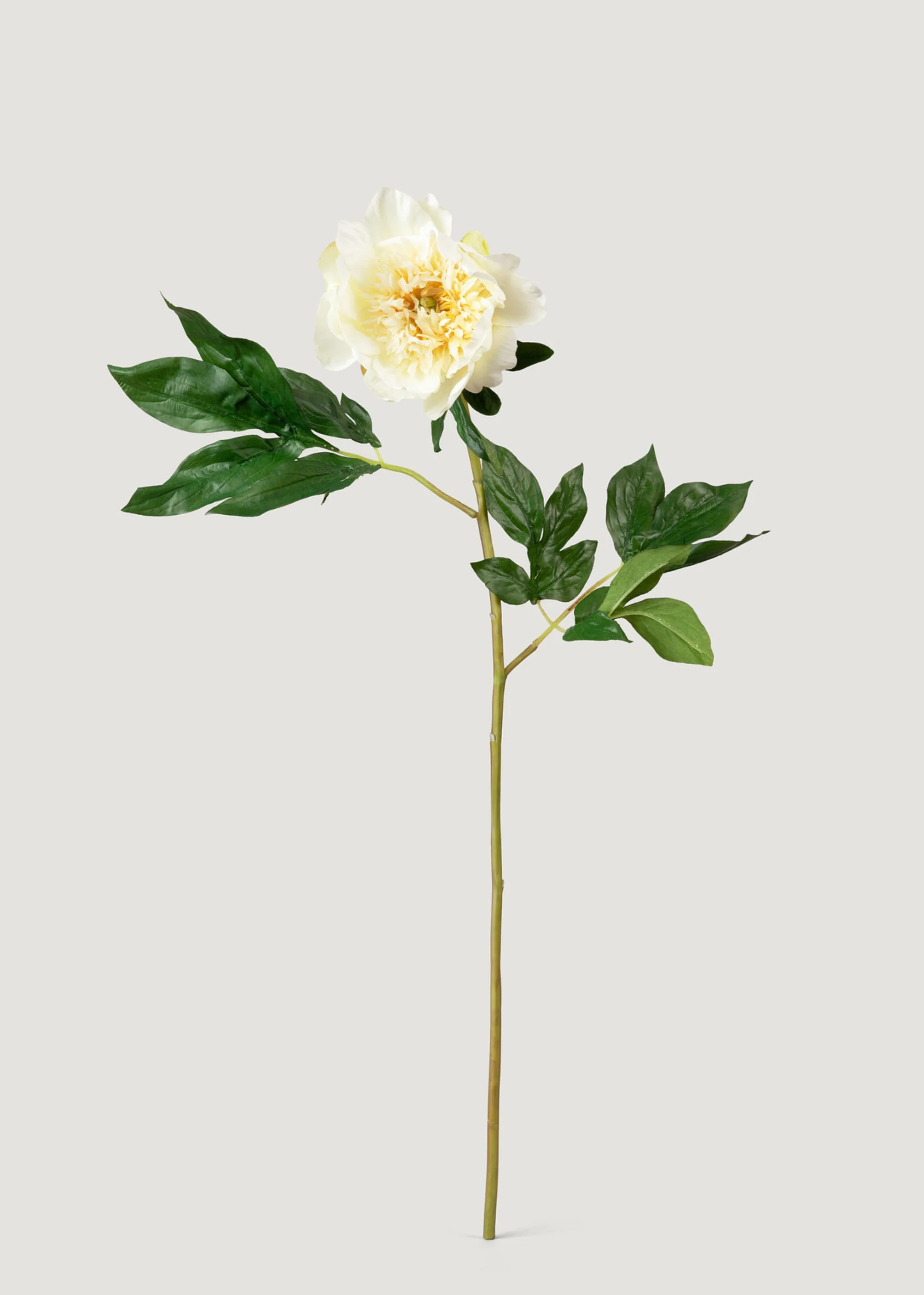 Cream Faux Peony Stem | Artificial Blooming Flowers at Afloral | Afloral