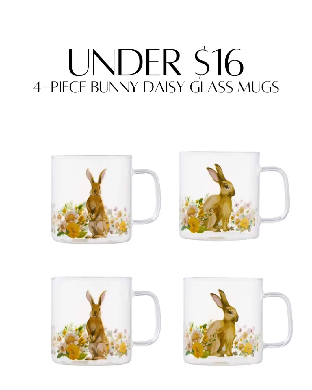 4-Piece Bunny Daisy Glass Mugs under $16 at Walmart 

#LTKFindsUnder50 #LTKSeasonal #LTKHome