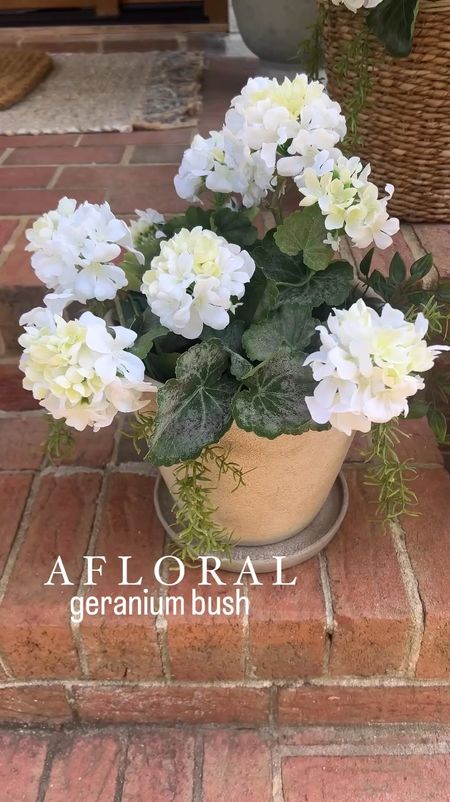 Afloral Indoor / Covered Outdoor Geranium Bush
I used one Geranium Bush for this arrangement.

Use code MDC15 for 15% off orders of $75+ now through June 30th. 
Faux plants | faux florals | outdoor faux plants | faux outdoor plants | artificial plants | outdoor artificial plants | porch decor | home decor | afloral

#LTKfindsunder50 #LTKhome #LTKSeasonal