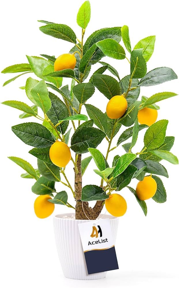 AceList Fake Lemon Tree for Lemon Decor, 20 Inches Nearly Natural Artificial Lemon Tree with Whit... | Amazon (US)