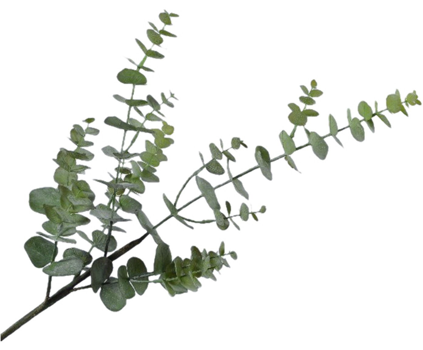 Kunstblume Eukalyptus Edwin | WestwingNow (AT & DE)