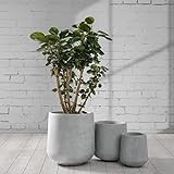 Kante 15.3"+11.6"+8.2" Dia Round Concrete Planter, Large Outdoor Indoor Planter Pots Containers with Drainage Holes and Rubber Plug for Home Garden Patio, Gray Concrete | Amazon (US)