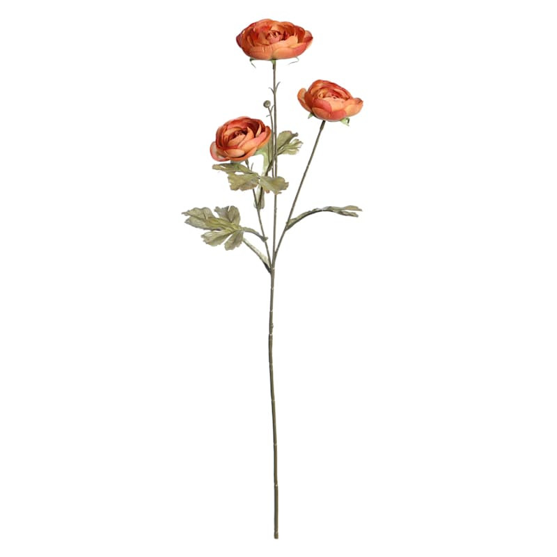 Brown Ranunculus Spray, 31" | At Home
