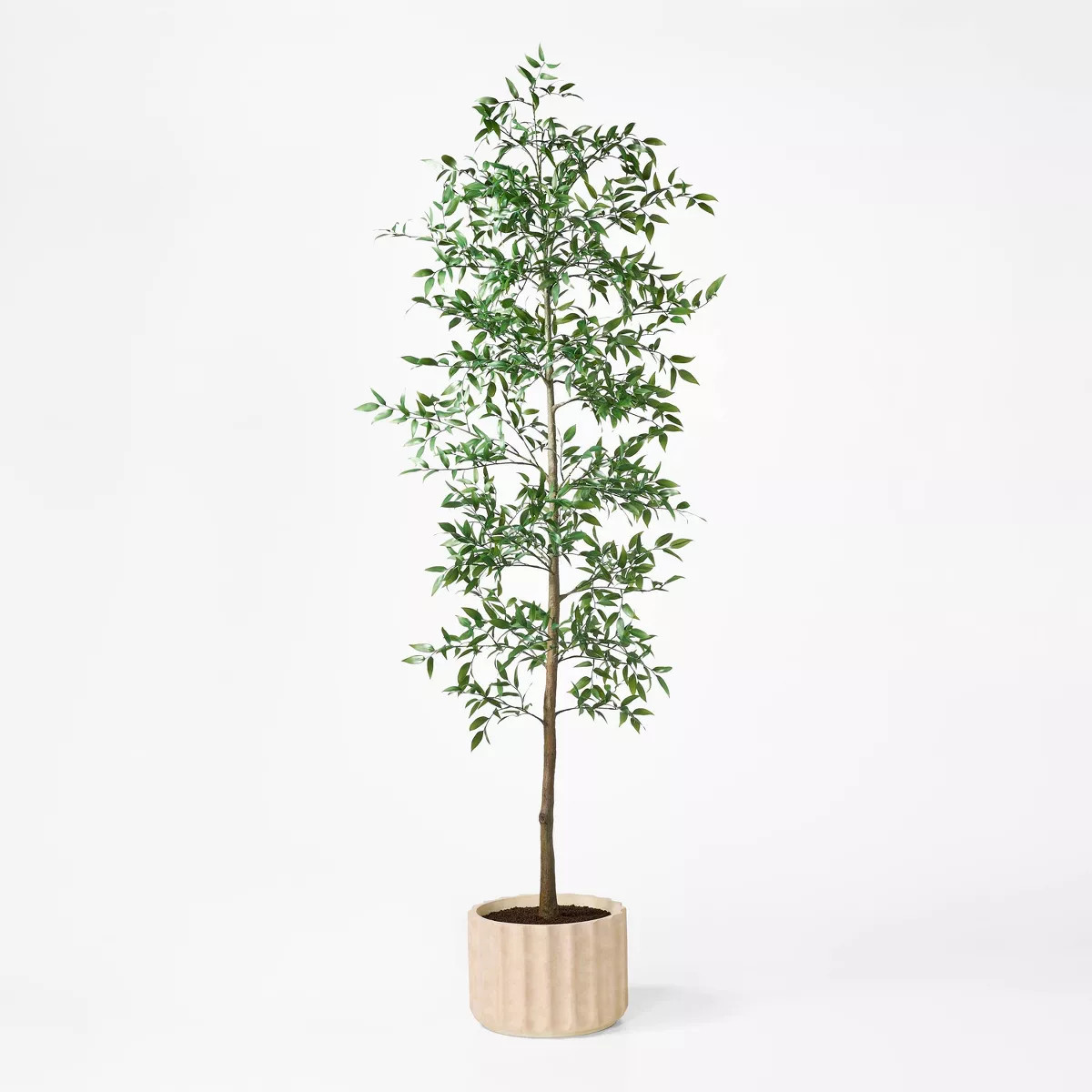 Shady Lady Tree in Ceramic Pot - Threshold™ designed with Studio McGee | Target