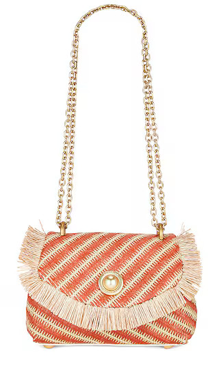 The Lalo Mini Bag in Straw Terracotta | Revolve Clothing (Global)