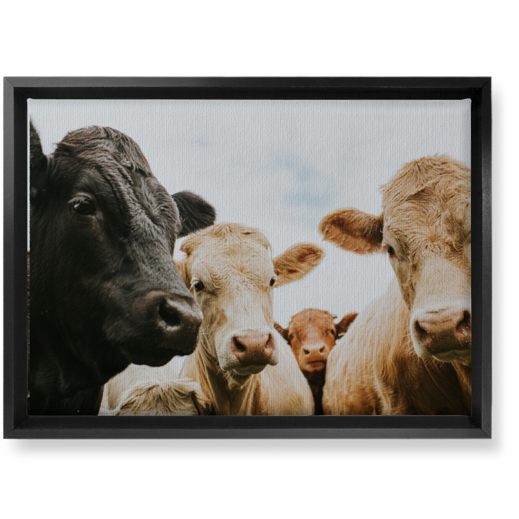 Wall Art: Black and White Cows Wall Art, Black, Single piece, Canvas, 10x14, Multicolor | Shutterfly