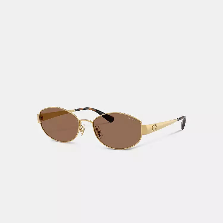 C Hardware Metal Narrow Oval Sunglasses | Coach (US)
