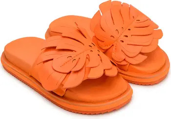 Monstera Leaf Slide | Nordstrom
