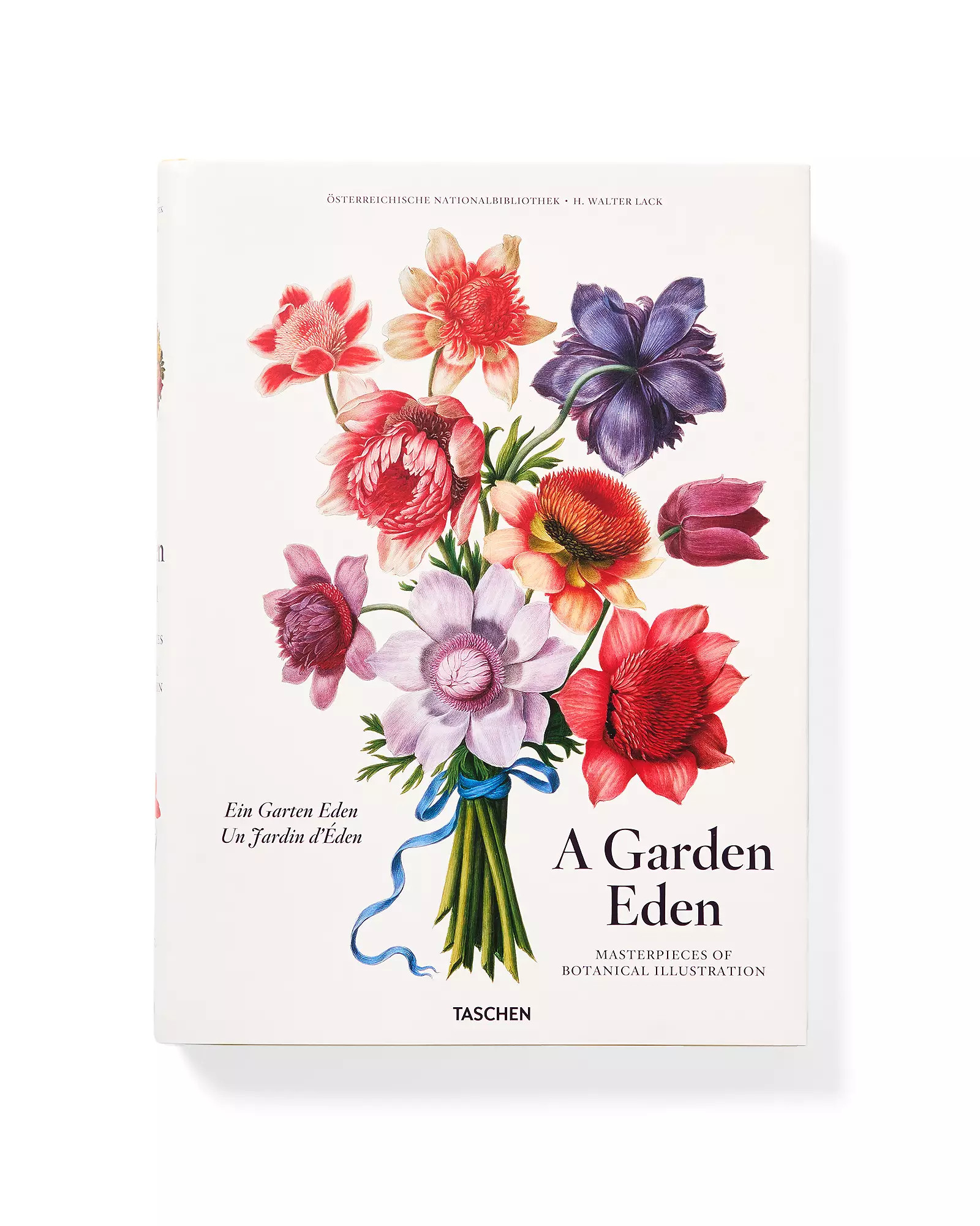 "A Garden Eden" By H. Walter Lack | Serena and Lily