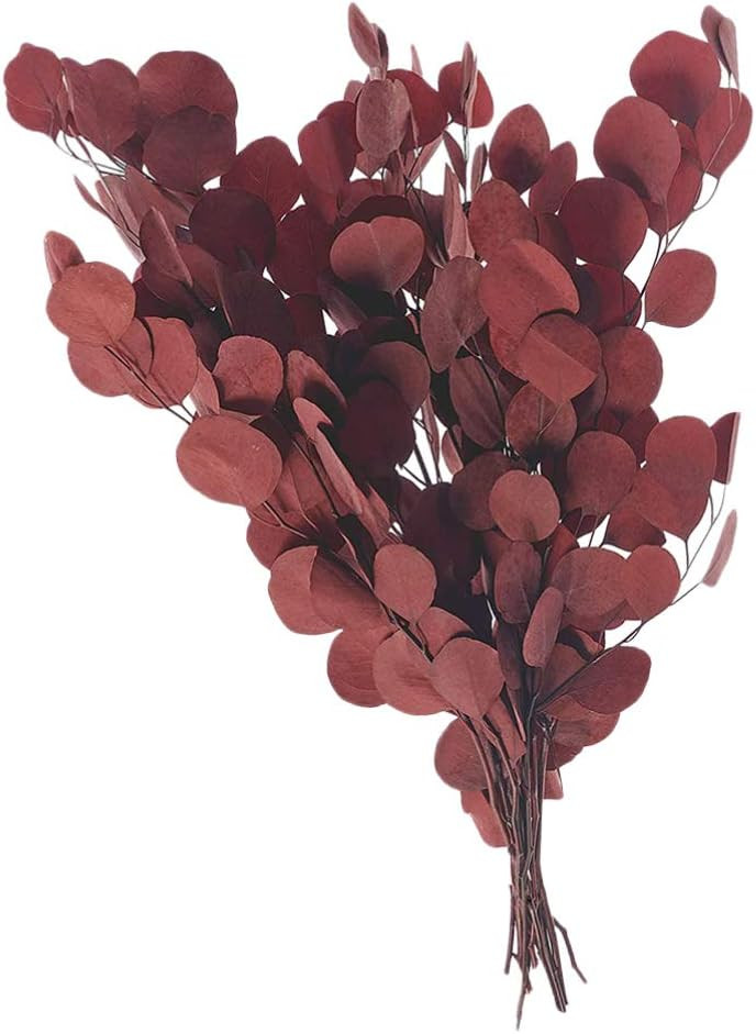 Happyyami Dried Preserved Eucalyptus Branches Eucalyptus Branches Leaves Flower Arrangement Decor... | Amazon (US)