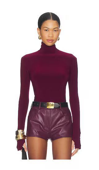 Slim Fit Long Sleeve Turtle Top in Plum | Revolve Clothing (Global)