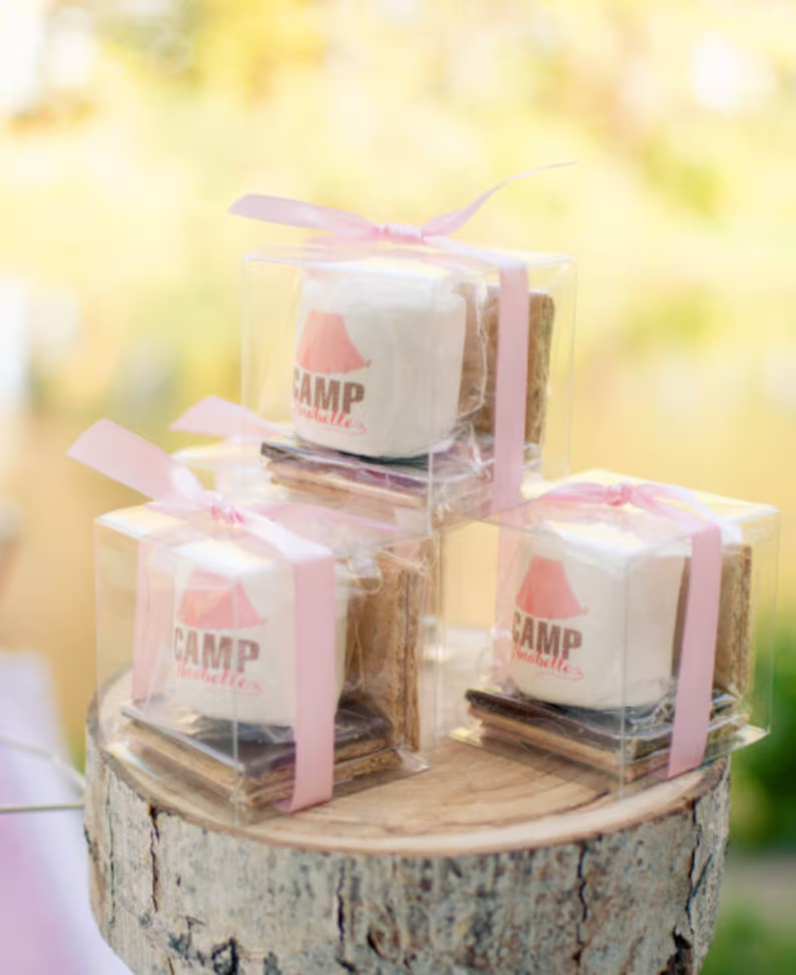 12 girly fall camping smore glamping pink tent idea girls | Etsy | Etsy (US)