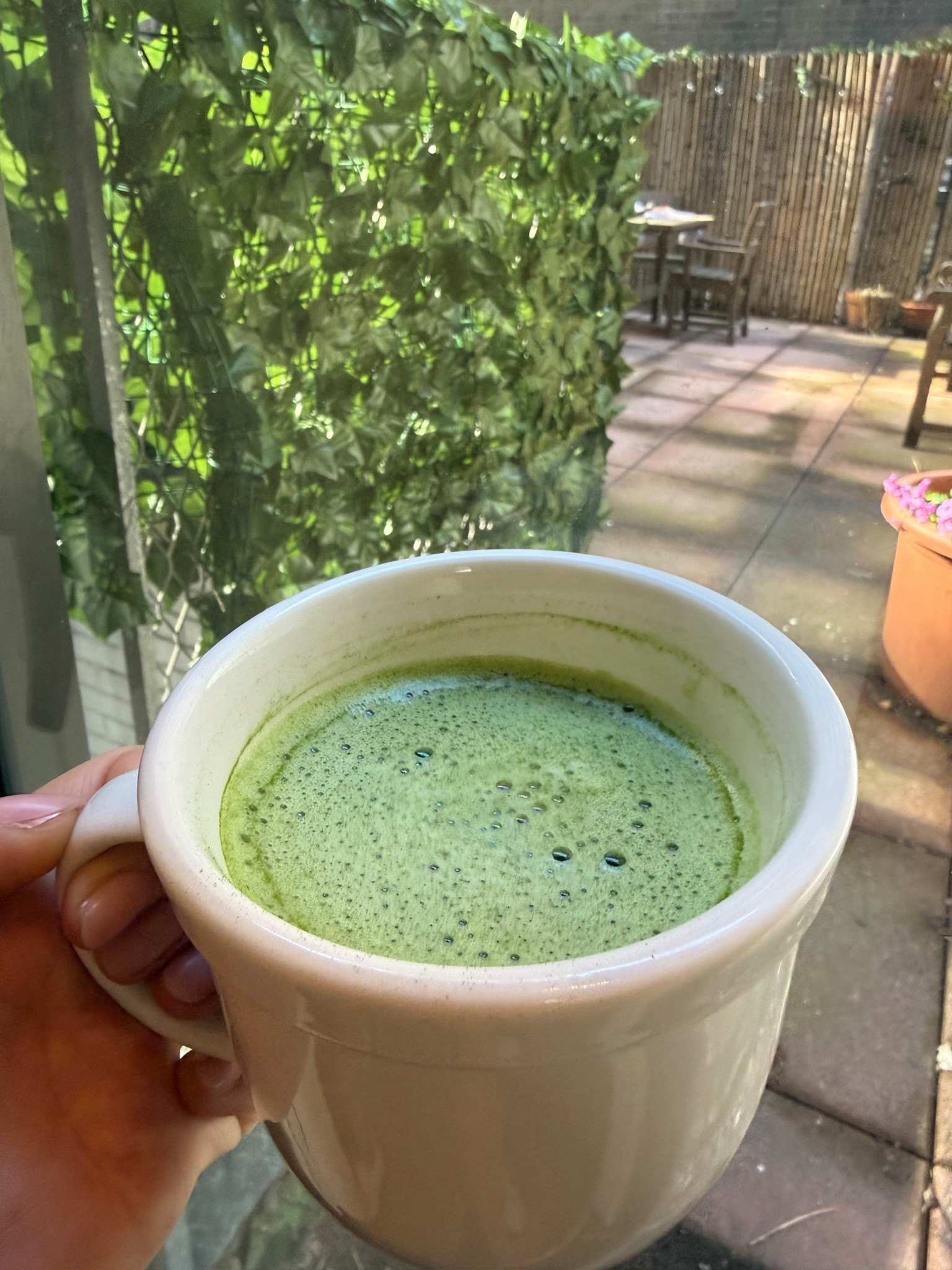 THE PERFRCT MATCHA 🍵 these single serve packets make life so much easier. No scale necessary! #happyspring 

#LTKfoodie #LTKmorningroutine #LTKdayinmylife