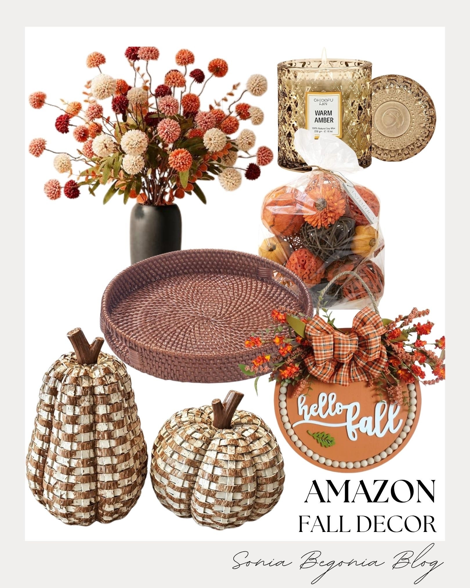 Welcome autumn into your home with these cozy Amazon decor finds! 🍂

Woven textured pumpkins, a round rattan tray, and colorful pom-pom floral stems create an instant rustic feel.

Pair with a "Warm Amber" glass candle, decorative potpourri, and a festive "Hello Fall" sign for a complete seasonal setup. 🕯️✨

#AmazonHome #FallHomeDecor #CozyHome #AutumnInspo #AmazonFinds #LTKhome #HomeStyling #SeasonalDecor #InteriorInspo

#LTKHome #LTKSeasonal