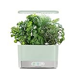 AeroGarden Harvest - Indoor Garden with LED Grow Light, Sage | Amazon (US)