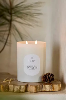 Linnea Candle, Winter Cypress | Terrain