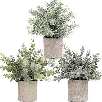 Artificial Potted Plants Mini Fake Eucalyptus Plant, Small Plastic Green Grass with Pot, Faux Ros... | Amazon (US)