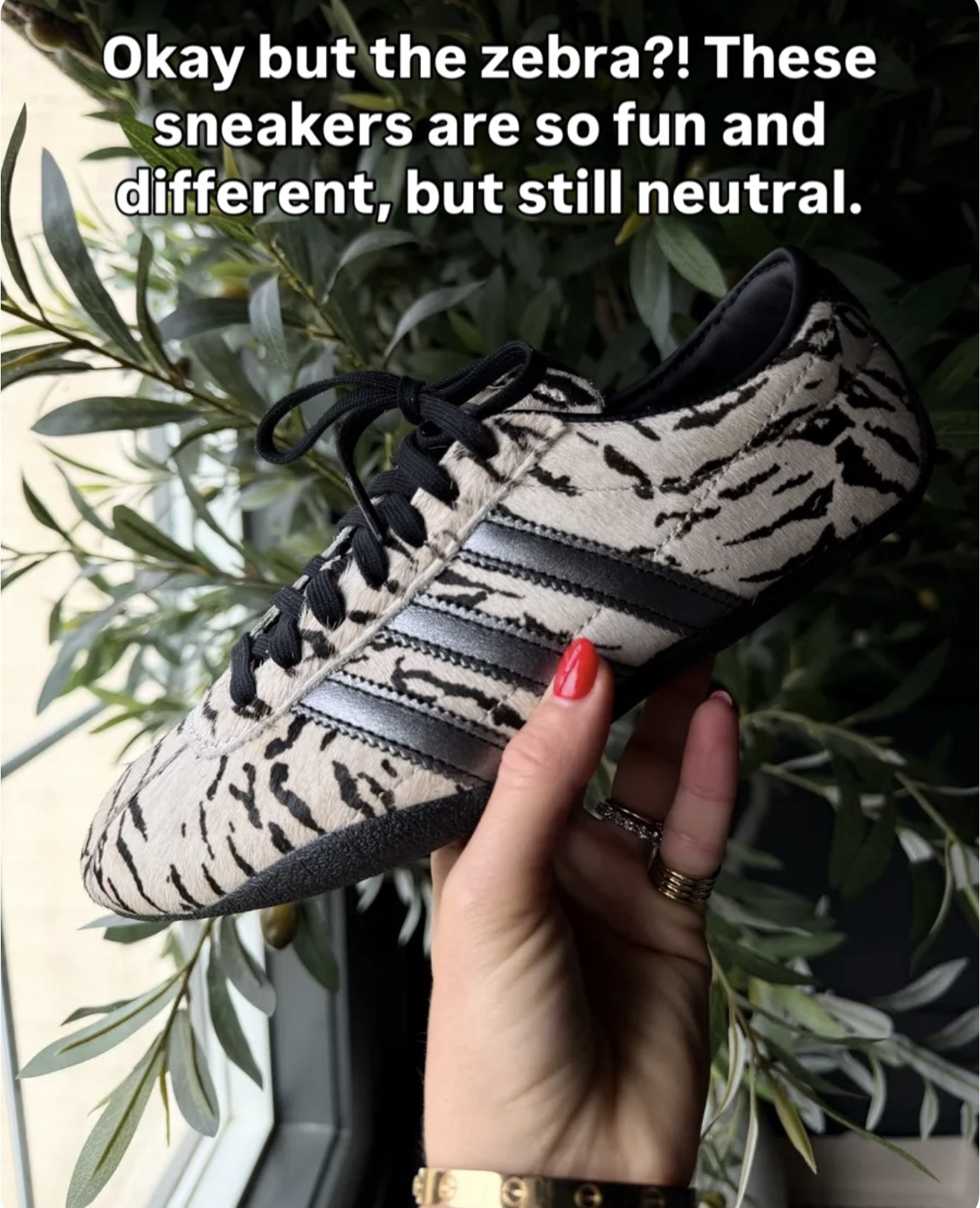 Always love a good animal print moment! You can grab these during this Shopbop sale. Use code Prime25 at checkout. 

Shopbop sale, designer fashion sale, luxury fashion deals

#LTKOver40 #LTKSaleAlert #LTKootd
